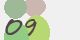 securitycode
