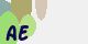 securitycode