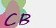 securitycode