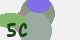 securitycode