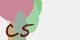 securitycode