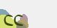 securitycode