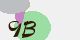 securitycode