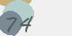 securitycode