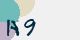 securitycode