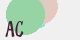 securitycode