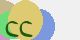 securitycode