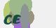 securitycode