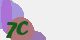 securitycode