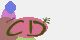 securitycode