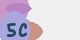 securitycode