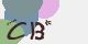 securitycode