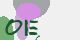 securitycode