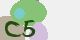 securitycode