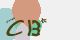 securitycode