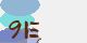 securitycode