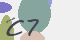 securitycode