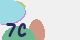 securitycode