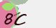 securitycode