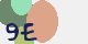 securitycode
