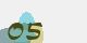 securitycode