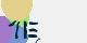 securitycode