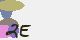 securitycode