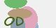 securitycode