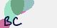 securitycode