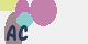securitycode