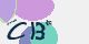 securitycode
