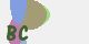 securitycode