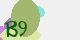 securitycode