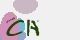 securitycode