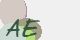 securitycode