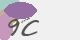 securitycode