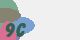 securitycode