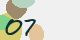 securitycode