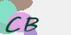 securitycode