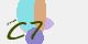 securitycode