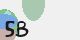 securitycode