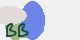 securitycode