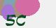 securitycode