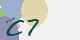 securitycode