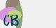 securitycode