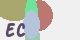securitycode