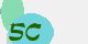 securitycode