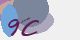 securitycode