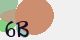 securitycode