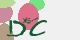 securitycode